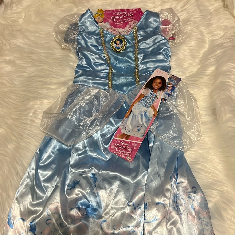 Disney Princess (Jakks) Cinderella Dress